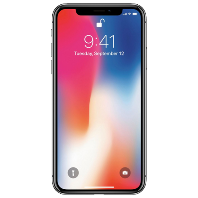 iPhone X 256GB Space Gray - Semi Nuevo
