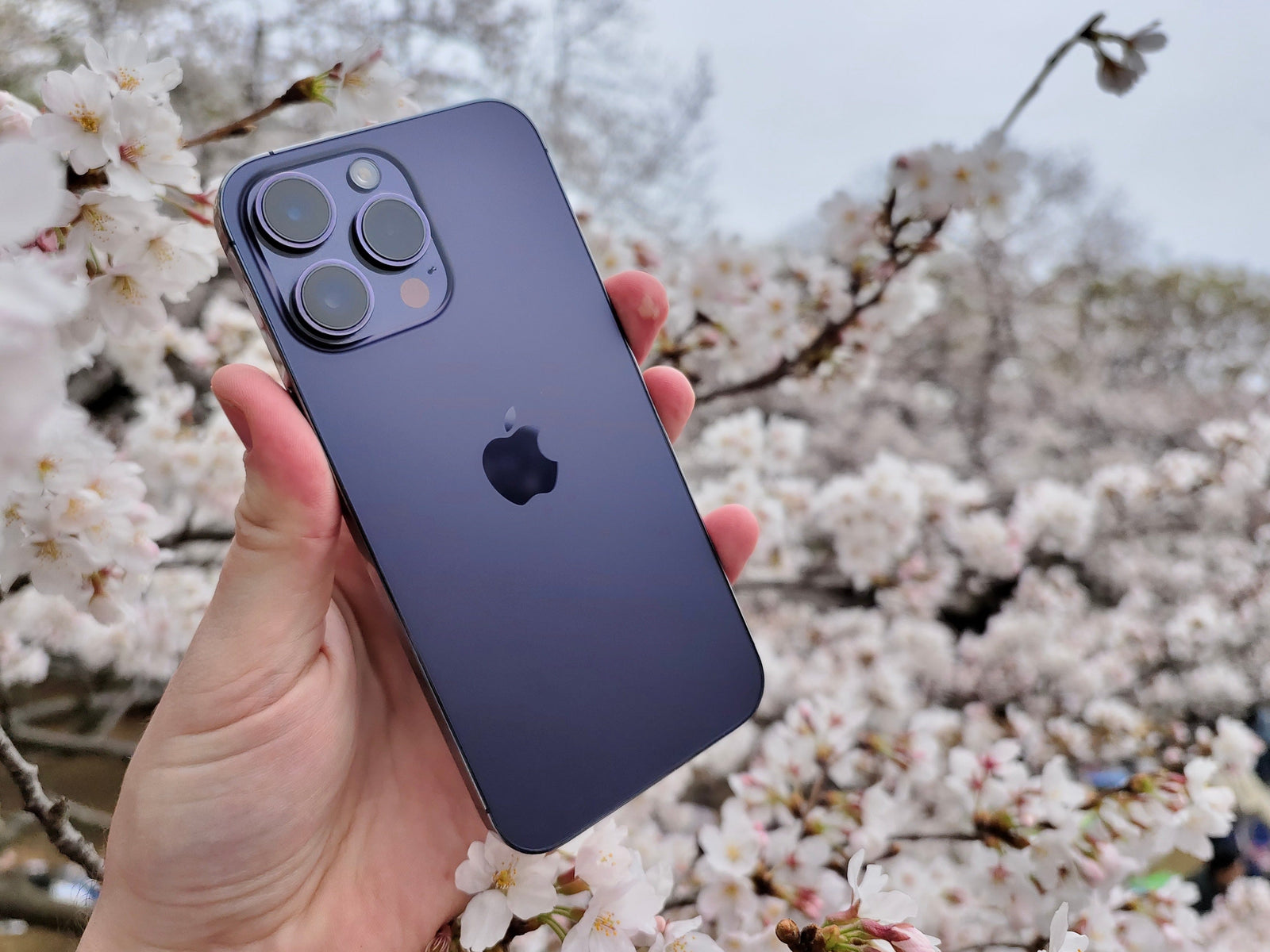 iPhone 14 Pro Max 128GB Seminuevo: La Mejor Decisión para Tu Bolsillo y Tu Estilo de Vida
