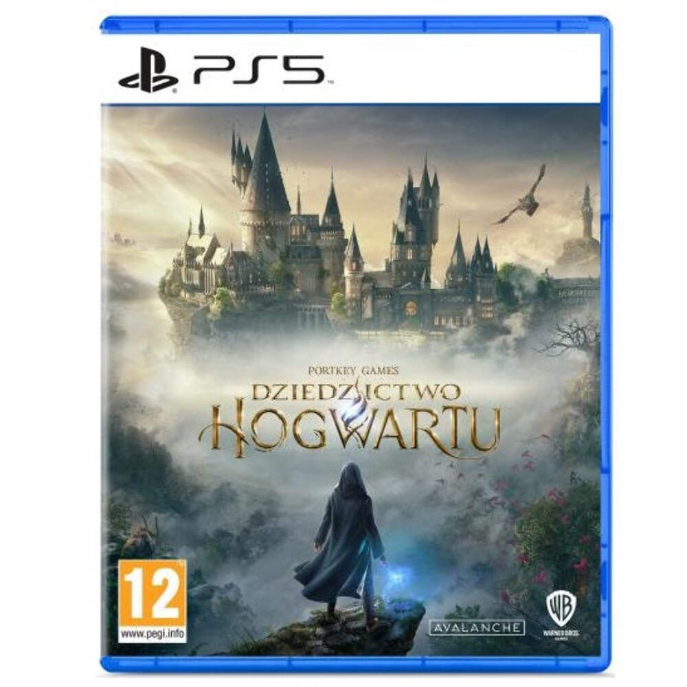 Juego Disco PS5 - Hogwarts Legacy - Usado